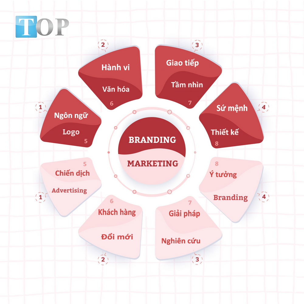 phan-biet-branding-vs-marketing